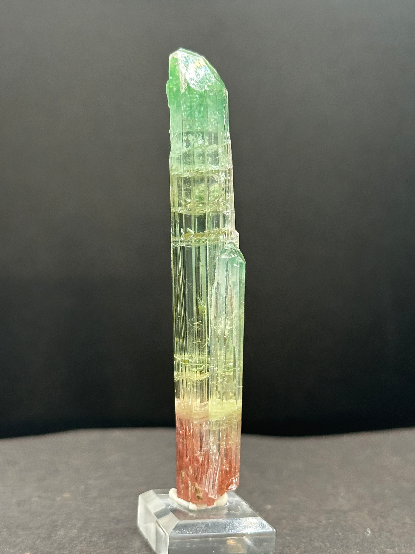 Natural Tri-Color Watermelon Tourmaline Crystal — Green Yellow Red Zoned Collector Specimen on Stand (REPAIRED)