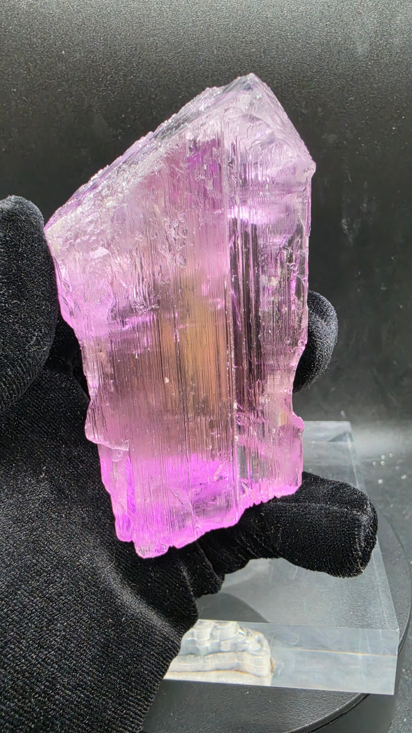 Large Loop-Clean Gemmy Kunzite Crystal — Deep Violet Pink Magenta AAA Collector Gem Specimen