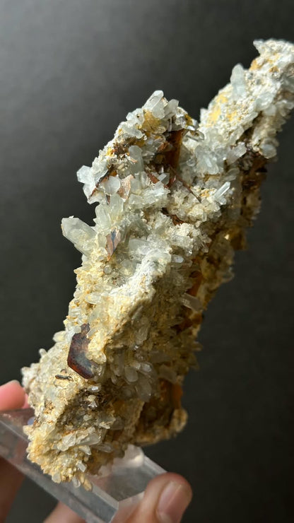 Brookite on Forest Quartz, Kharan, Balochistan, Pakistan - photo 2