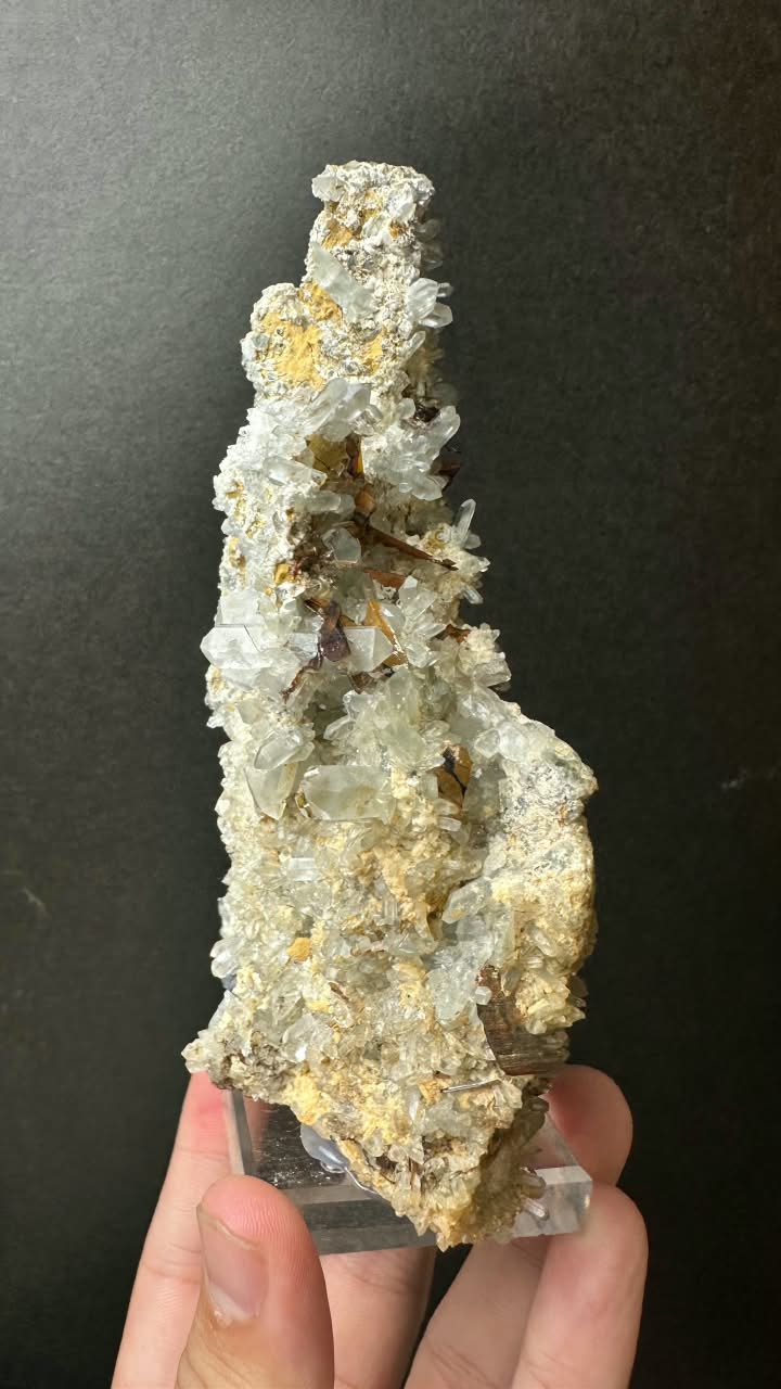 Brookite on Forest Quartz, Kharan, Balochistan, Pakistan - photo 4