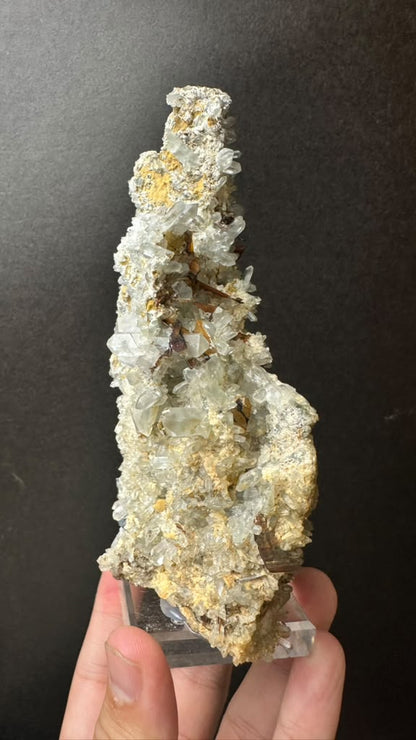 Brookite on Forest Quartz, Kharan, Balochistan, Pakistan - photo 10