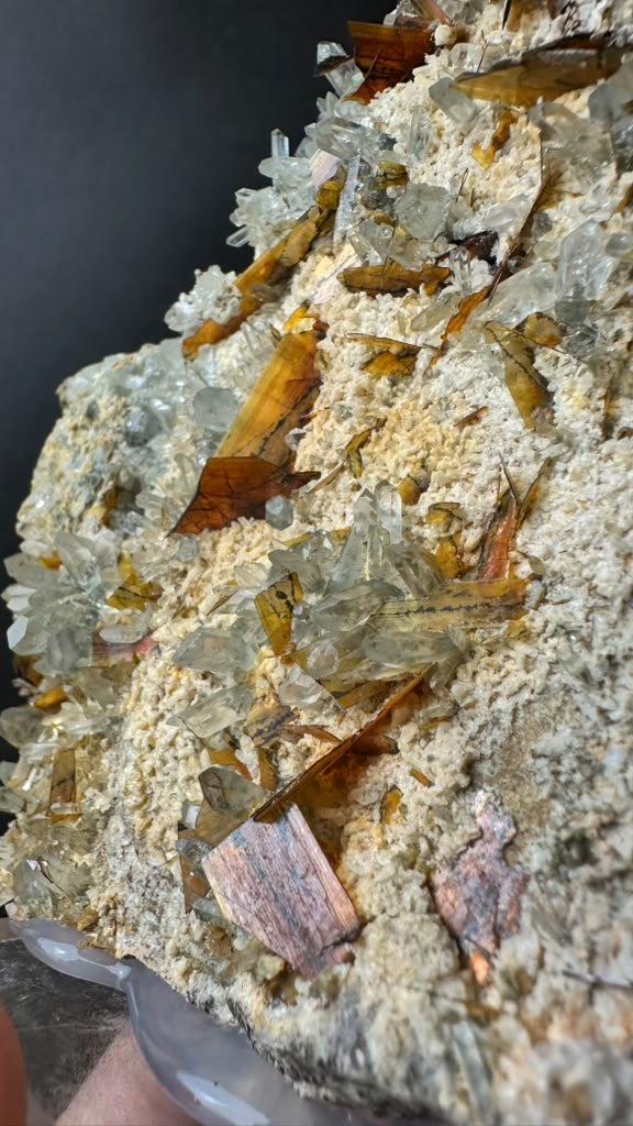 Brookite on Forest Quartz, Kharan, Balochistan, Pakistan - photo 11