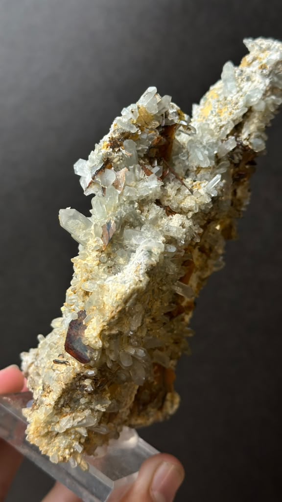 Brookite on Forest Quartz, Kharan, Balochistan, Pakistan - photo 14