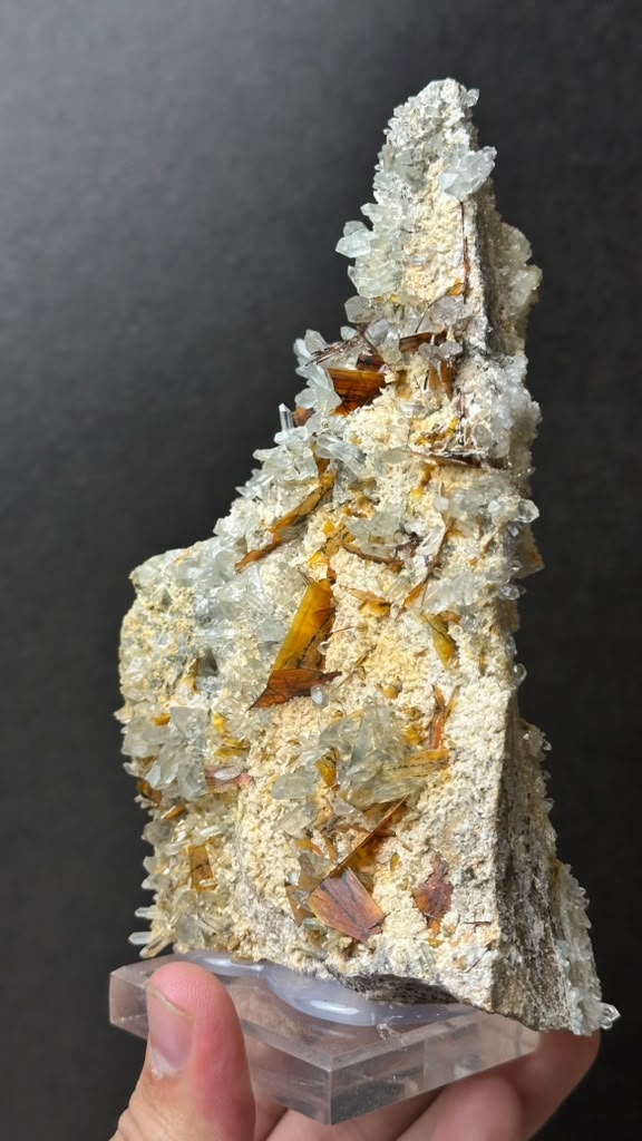 Brookite on Forest Quartz, Kharan, Balochistan, Pakistan - photo 15
