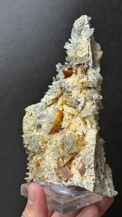 Brookite on Forest Quartz, Kharan, Balochistan, Pakistan - photo 15
