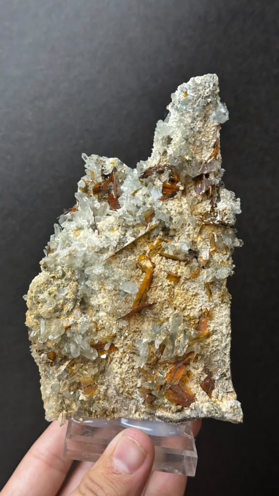 Brookite on Forest Quartz, Kharan, Balochistan, Pakistan - photo 16