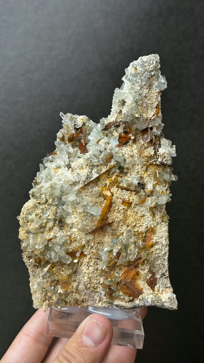 Brookite on Forest Quartz, Kharan, Balochistan, Pakistan - photo 18