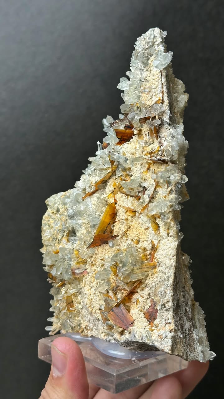 Brookite on Forest Quartz, Kharan, Balochistan, Pakistan - photo 19