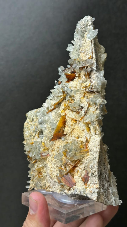 Brookite on Forest Quartz, Kharan, Balochistan, Pakistan - photo 19