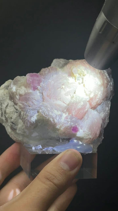 Pink Tourmaline on Lepidolite Matrix - photo 5