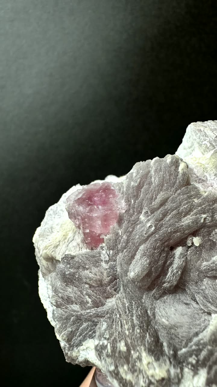 Pink Tourmaline on Lepidolite Matrix - photo 7