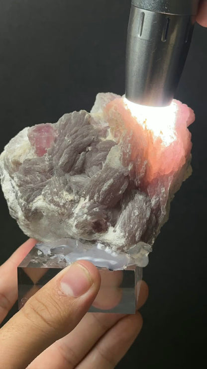 Pink Tourmaline on Lepidolite Matrix - photo 8