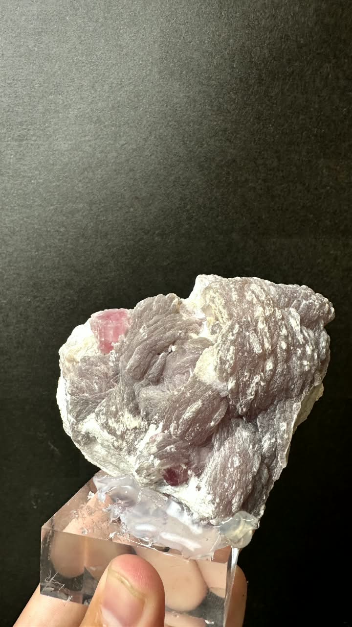 Pink Tourmaline on Lepidolite Matrix - photo 9