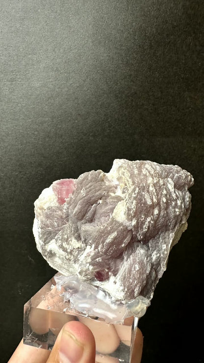 Pink Tourmaline on Lepidolite Matrix - photo 9