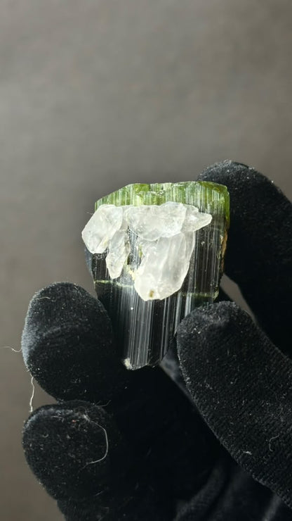 Green Tourmaline with Quartz, Heat Treated - photo 10
