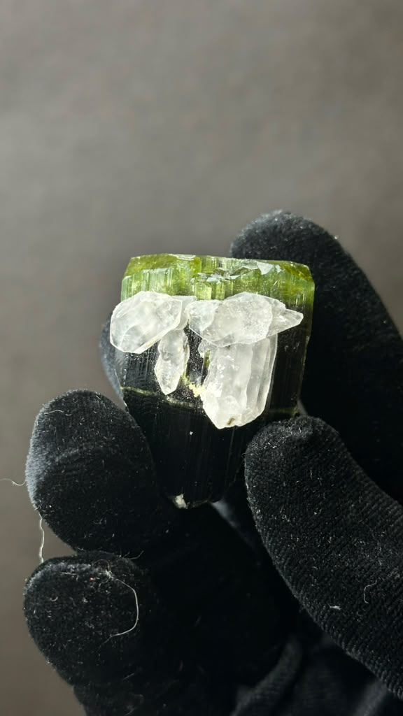 Green Tourmaline with Quartz, Heat Treated - photo 13
