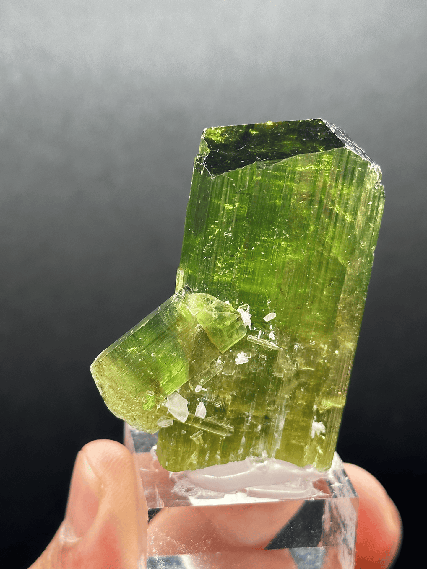 Green Tourmaline Elbaite Crystal Specimen Paprok Mine Nuristan Afghanistan Forest Green Gem Quality Natural Raw Mineral Collector Piece
