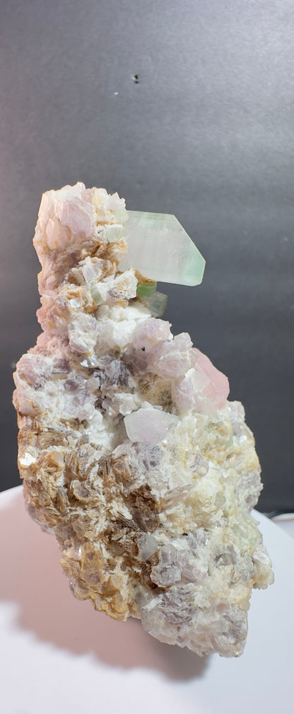Natural Cotton Candy Tourmaline Duck-Shaped Specimen with Terminated Quartz Crystal on Matrix