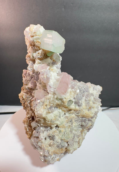 Natural Cotton Candy Tourmaline Duck-Shaped Specimen with Terminated Quartz Crystal on Matrix