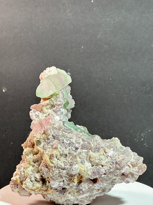 Natural Cotton Candy Tourmaline Duck-Shaped Specimen with Terminated Quartz Crystal on Matrix