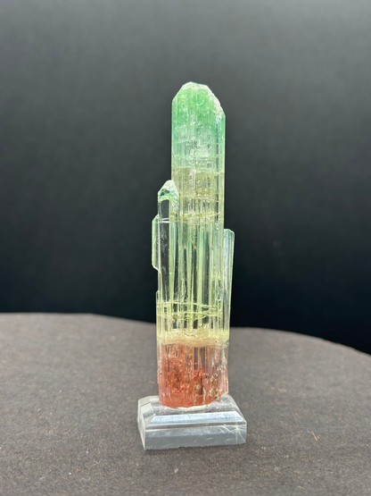 Natural Tri-Color Watermelon Tourmaline Crystal — Green Yellow Red Zoned Collector Specimen on Stand (REPAIRED)