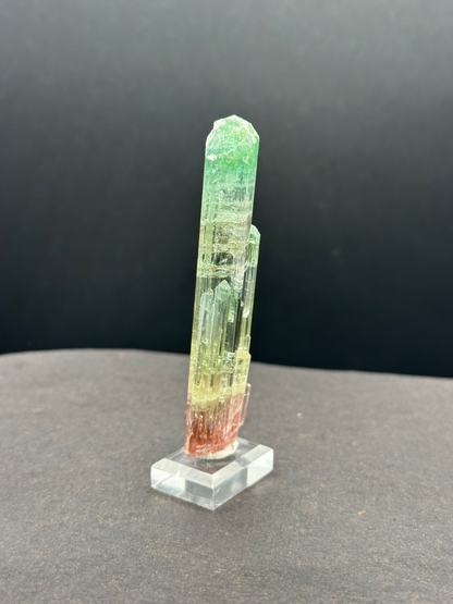 Natural Tri-Color Watermelon Tourmaline Crystal — Green Yellow Red Zoned Collector Specimen on Stand (REPAIRED)
