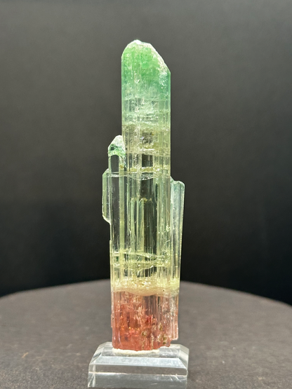 Natural Tri-Color Watermelon Tourmaline Crystal — Green Yellow Red Zoned Collector Specimen on Stand (REPAIRED)