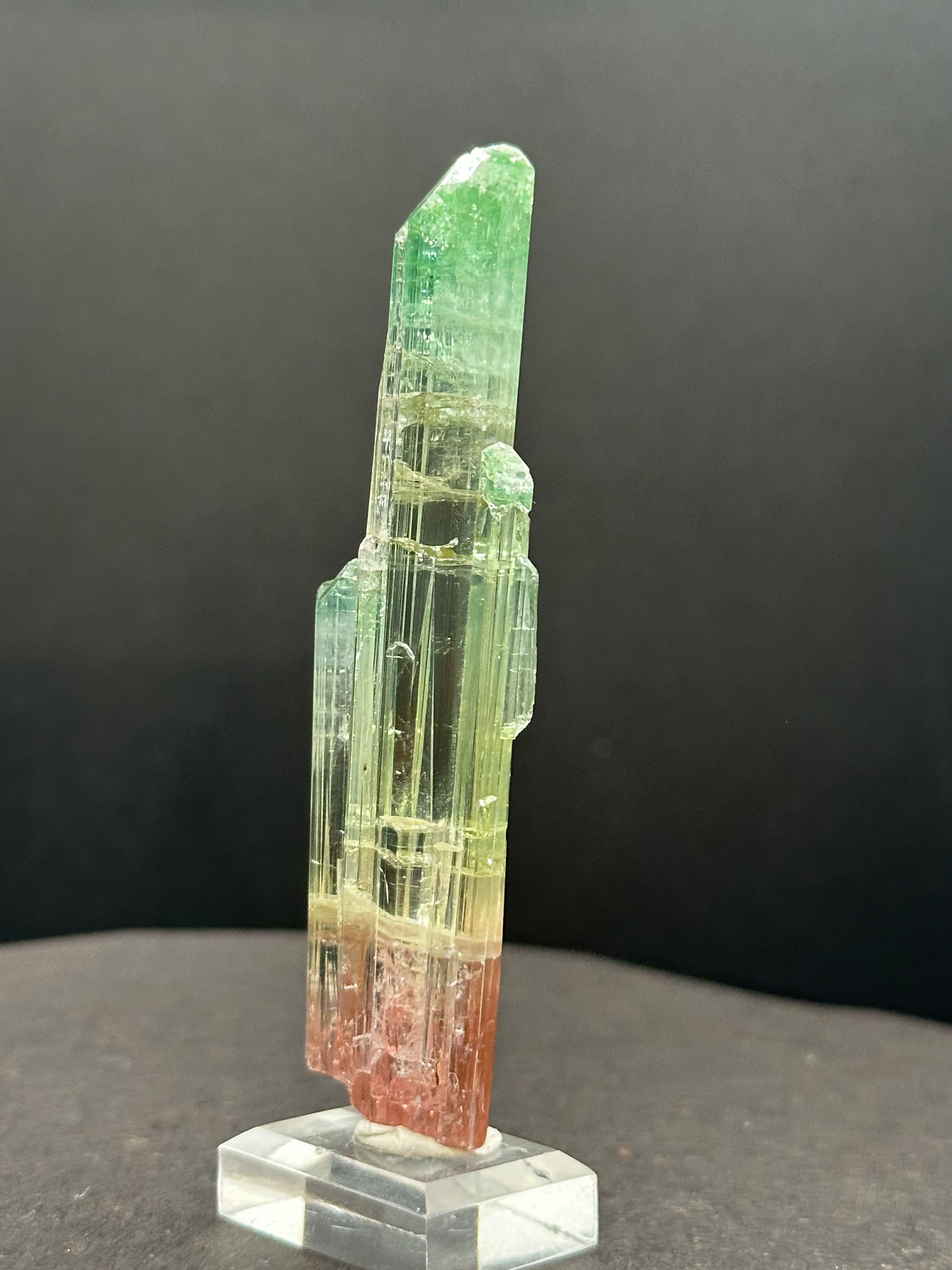 Natural Tri-Color Watermelon Tourmaline Crystal — Green Yellow Red Zoned Collector Specimen on Stand (REPAIRED)