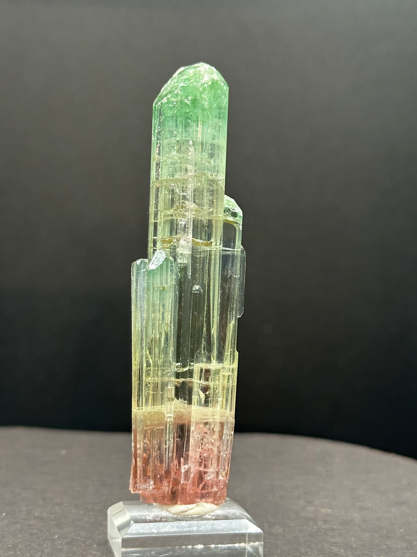 Natural Tri-Color Watermelon Tourmaline Crystal — Green Yellow Red Zoned Collector Specimen on Stand (REPAIRED)