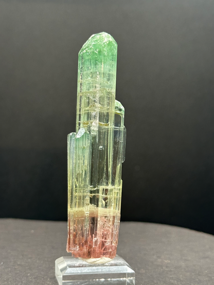 Natural Tri-Color Watermelon Tourmaline Crystal — Green Yellow Red Zoned Collector Specimen on Stand (REPAIRED)