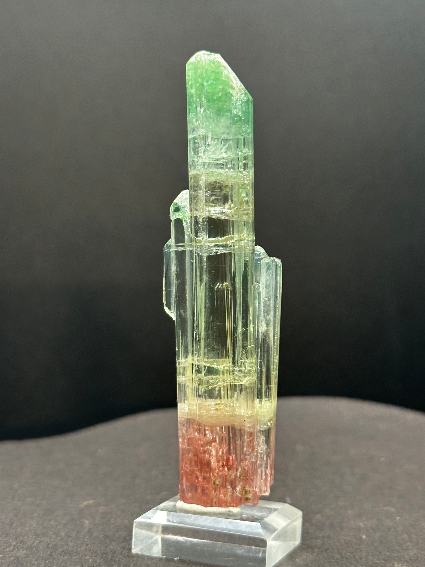 Natural Tri-Color Watermelon Tourmaline Crystal — Green Yellow Red Zoned Collector Specimen on Stand (REPAIRED)