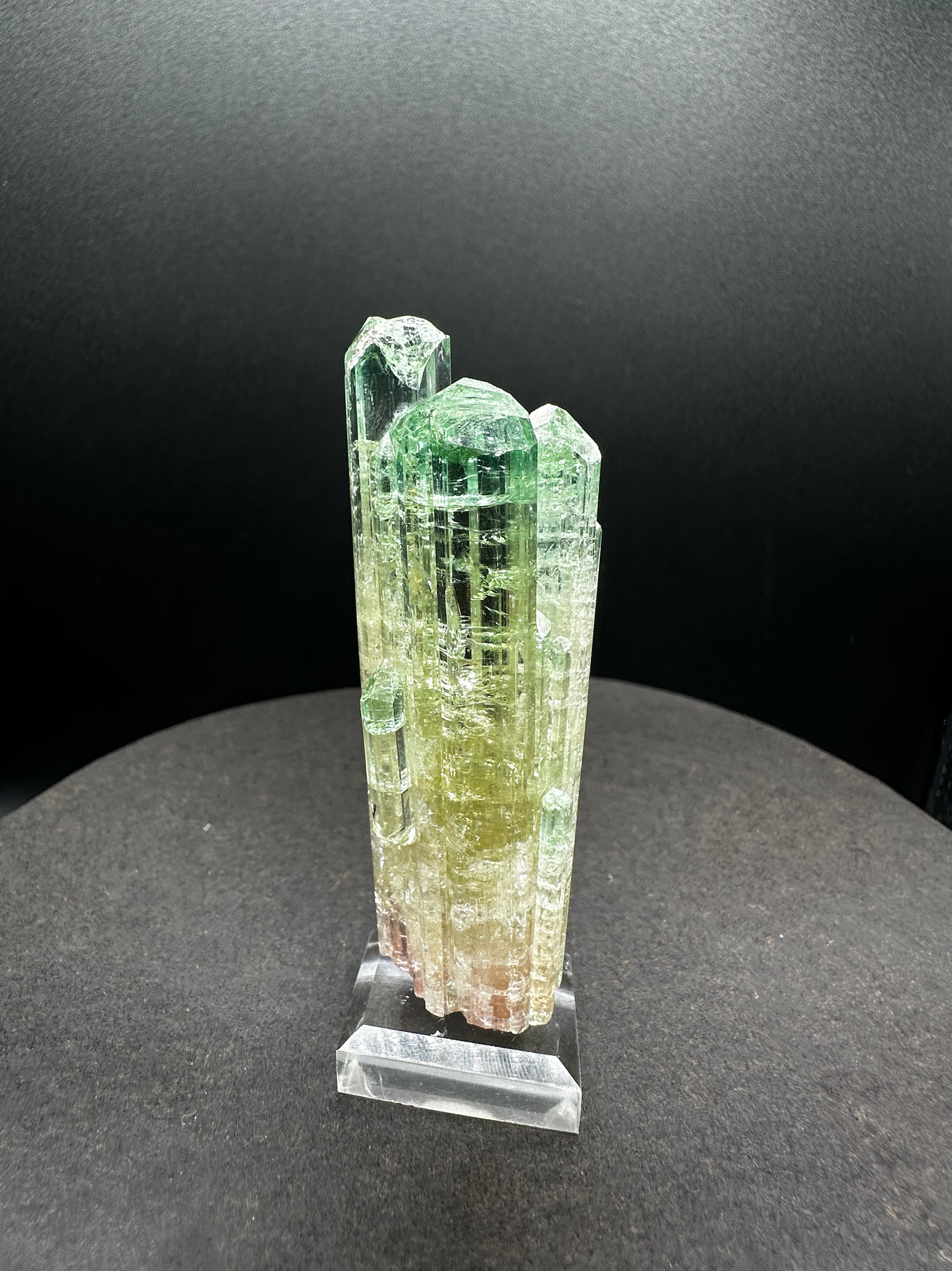 Natural Tri-Color Watermelon Tourmaline Crystal Cluster — Green Yellow Pink Multi-Column Collector Specimen on Stand