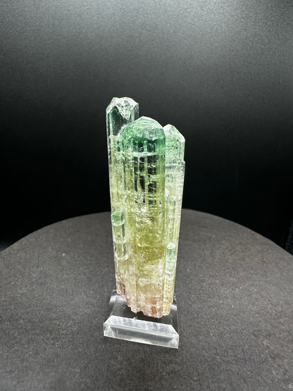 Natural Tri-Color Watermelon Tourmaline Crystal Cluster — Green Yellow Pink Multi-Column Collector Specimen on Stand