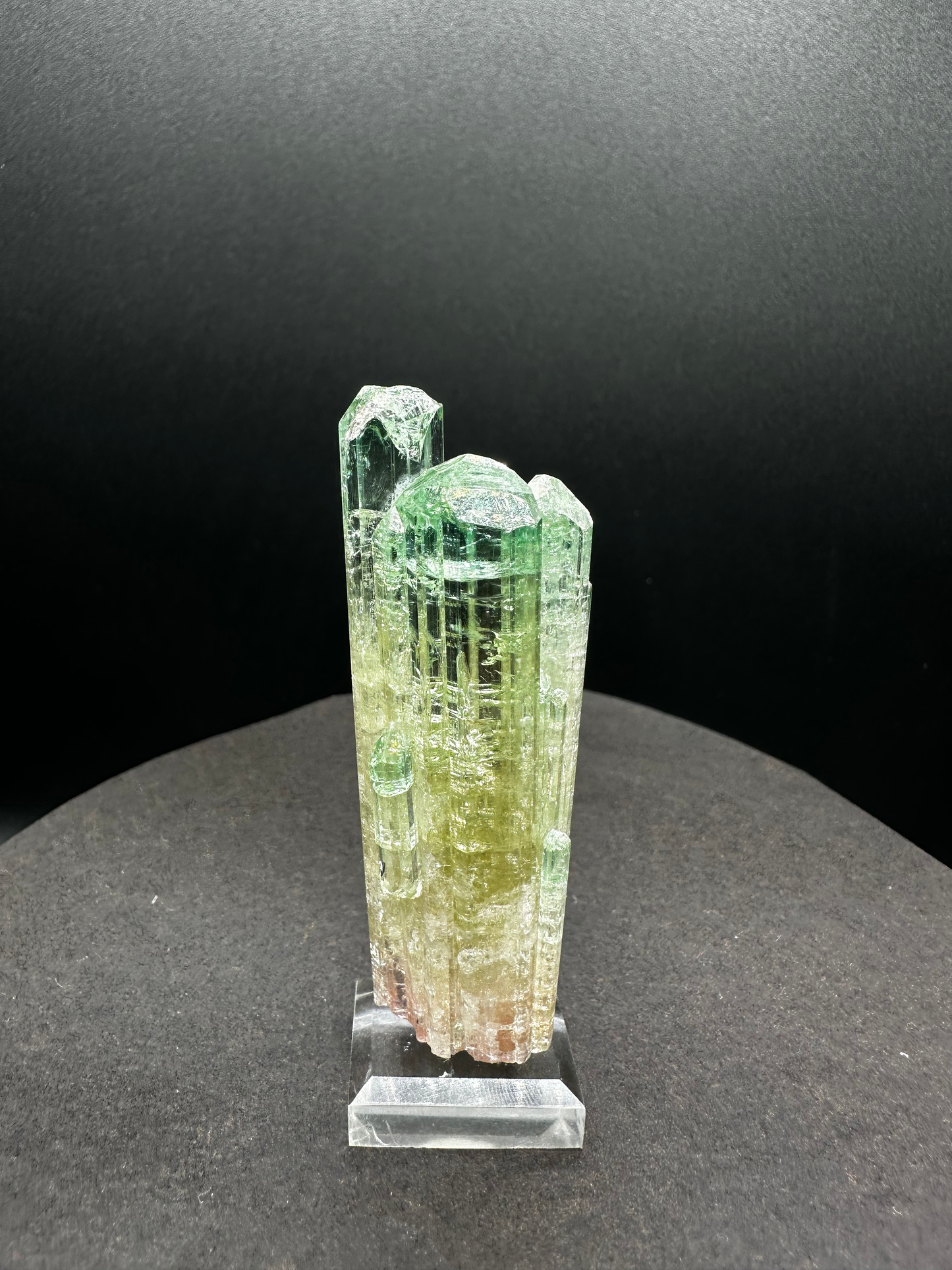 Natural Tri-Color Watermelon Tourmaline Crystal Cluster — Green Yellow Pink Multi-Column Collector Specimen on Stand