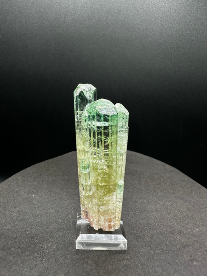 Natural Tri-Color Watermelon Tourmaline Crystal Cluster — Green Yellow Pink Multi-Column Collector Specimen on Stand