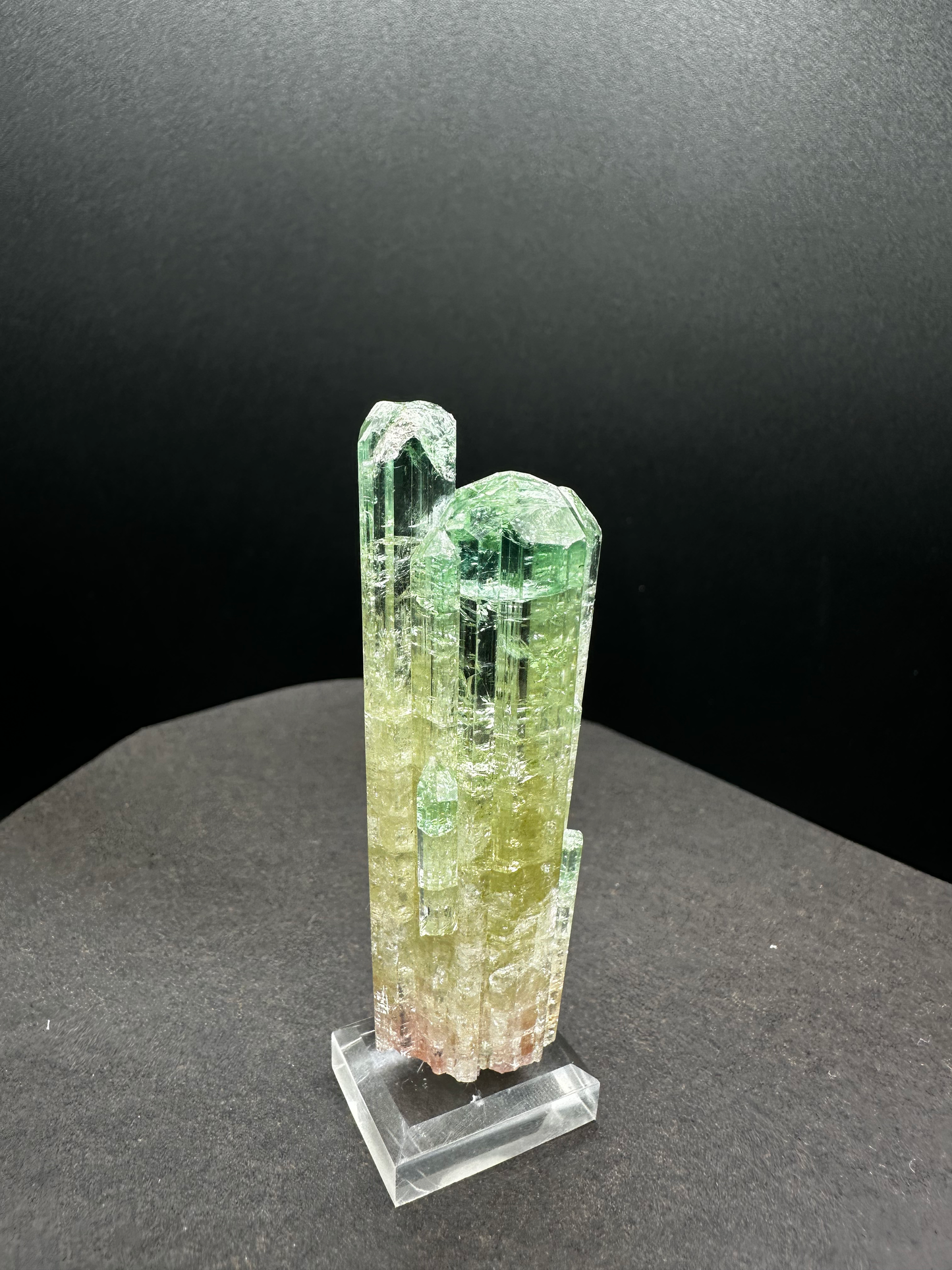 Natural Tri-Color Watermelon Tourmaline Crystal Cluster — Green Yellow Pink Multi-Column Collector Specimen on Stand