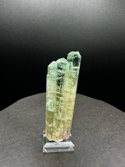 Natural Tri-Color Watermelon Tourmaline Crystal Cluster — Green Yellow Pink Multi-Column Collector Specimen on Stand