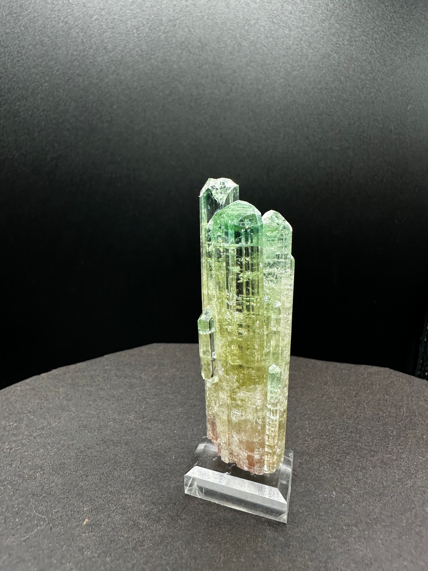 Natural Tri-Color Watermelon Tourmaline Crystal Cluster — Green Yellow Pink Multi-Column Collector Specimen on Stand