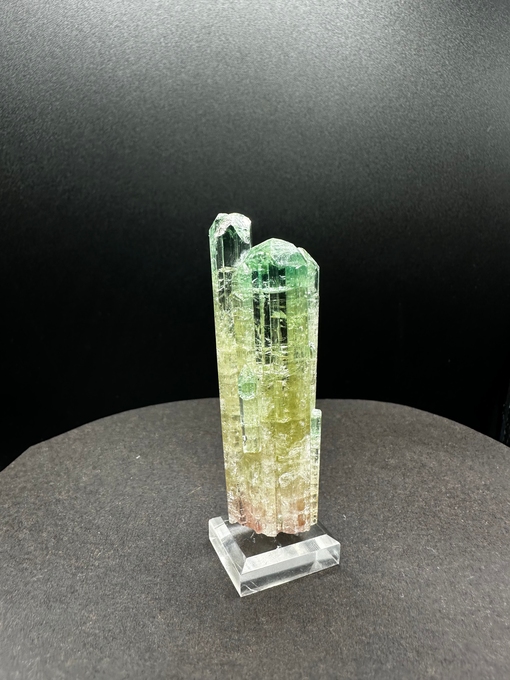 Tri-color watermelon tourmaline crystal cluster held showing size — rare Pakistan tourmaline collector specimen with acrylic display stand
