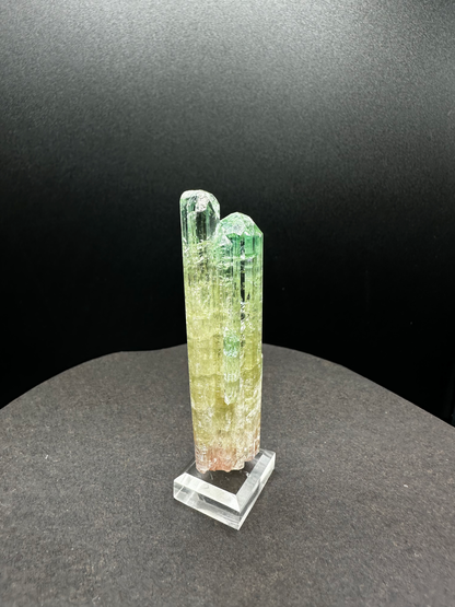 Natural tri-color watermelon tourmaline crystal cluster with green terminated crown, yellow-green body and blush pink base — rare multi-column gem-grade collector specimen on acrylic stand from Pakistan