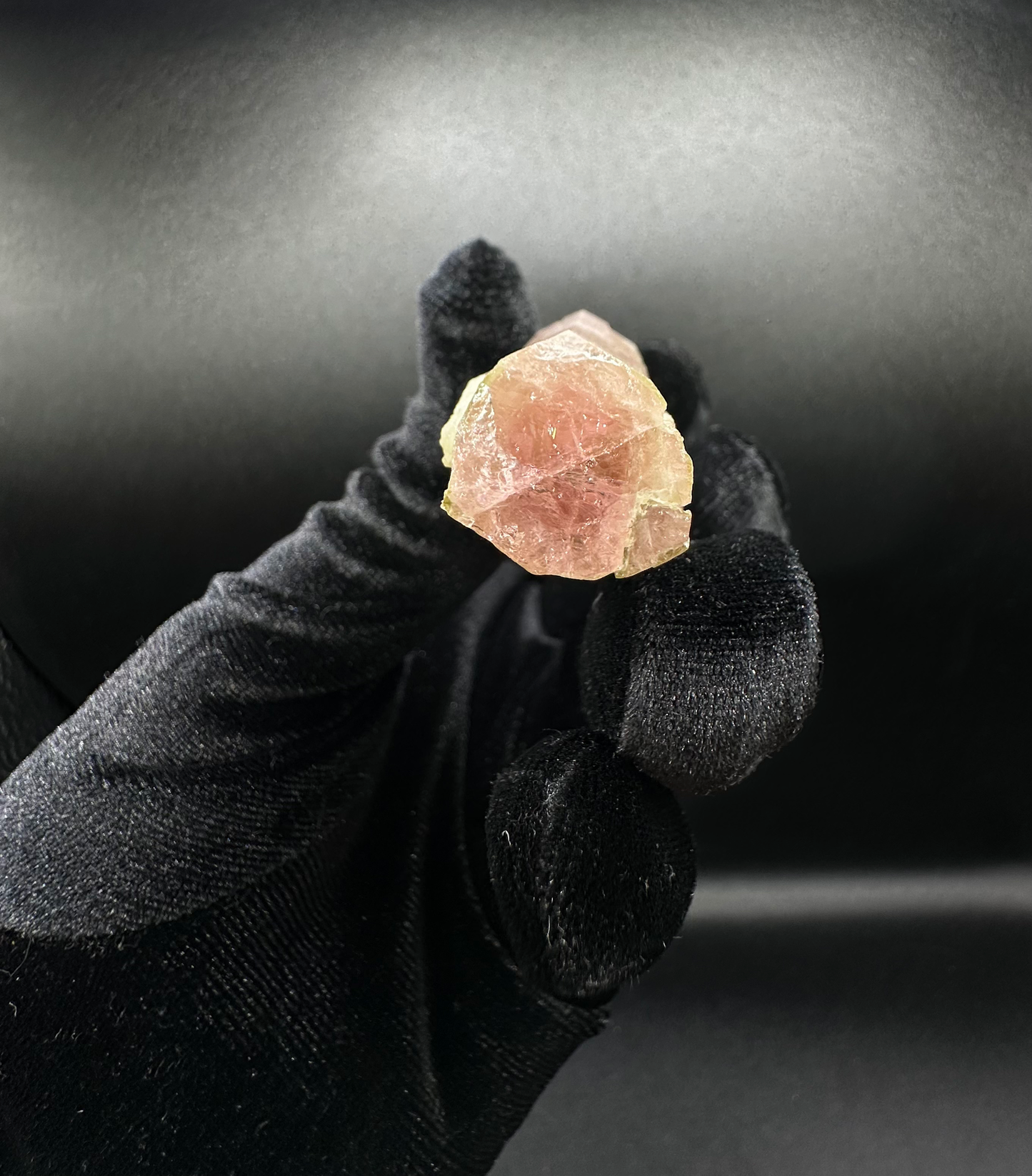 Natural Tri-Color Green & Peach Tourmaline Raw Crystal — Watermelon Tourmaline Prismatic Collector Specimen
