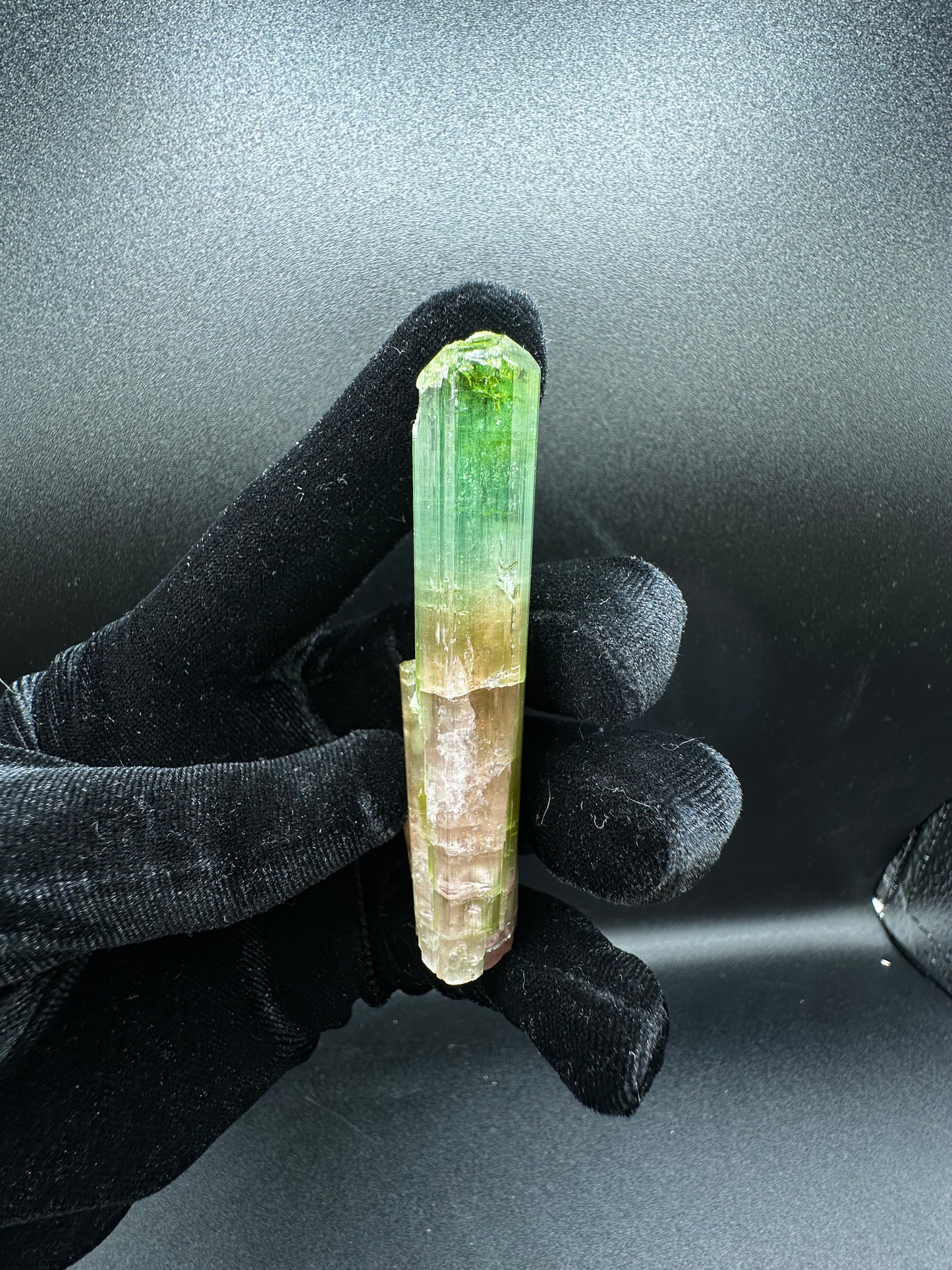 Natural Tri-Color Green & Peach Tourmaline Raw Crystal — Watermelon Tourmaline Prismatic Collector Specimen