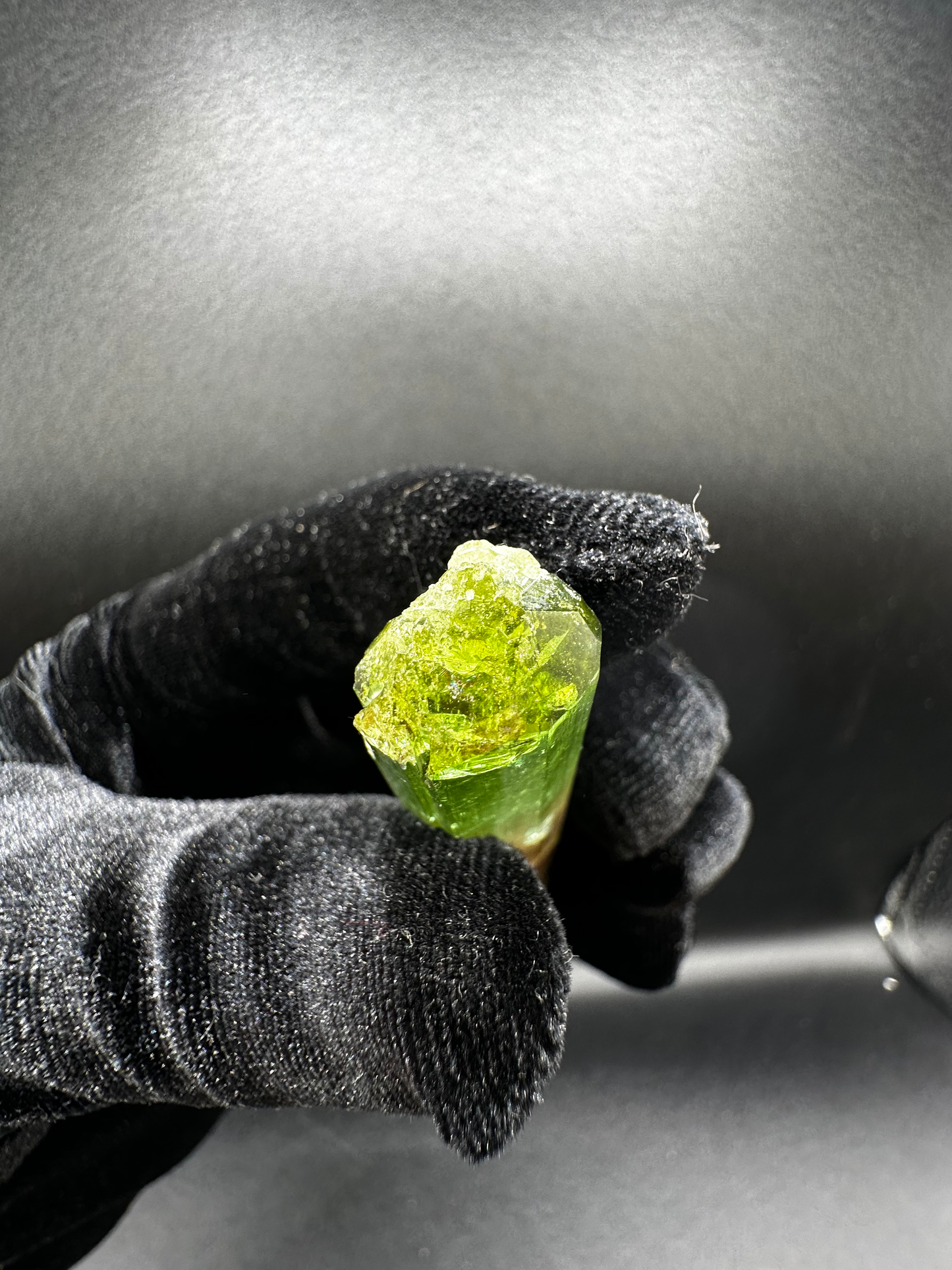 Natural Tri-Color Green & Peach Tourmaline Raw Crystal — Watermelon Tourmaline Prismatic Collector Specimen