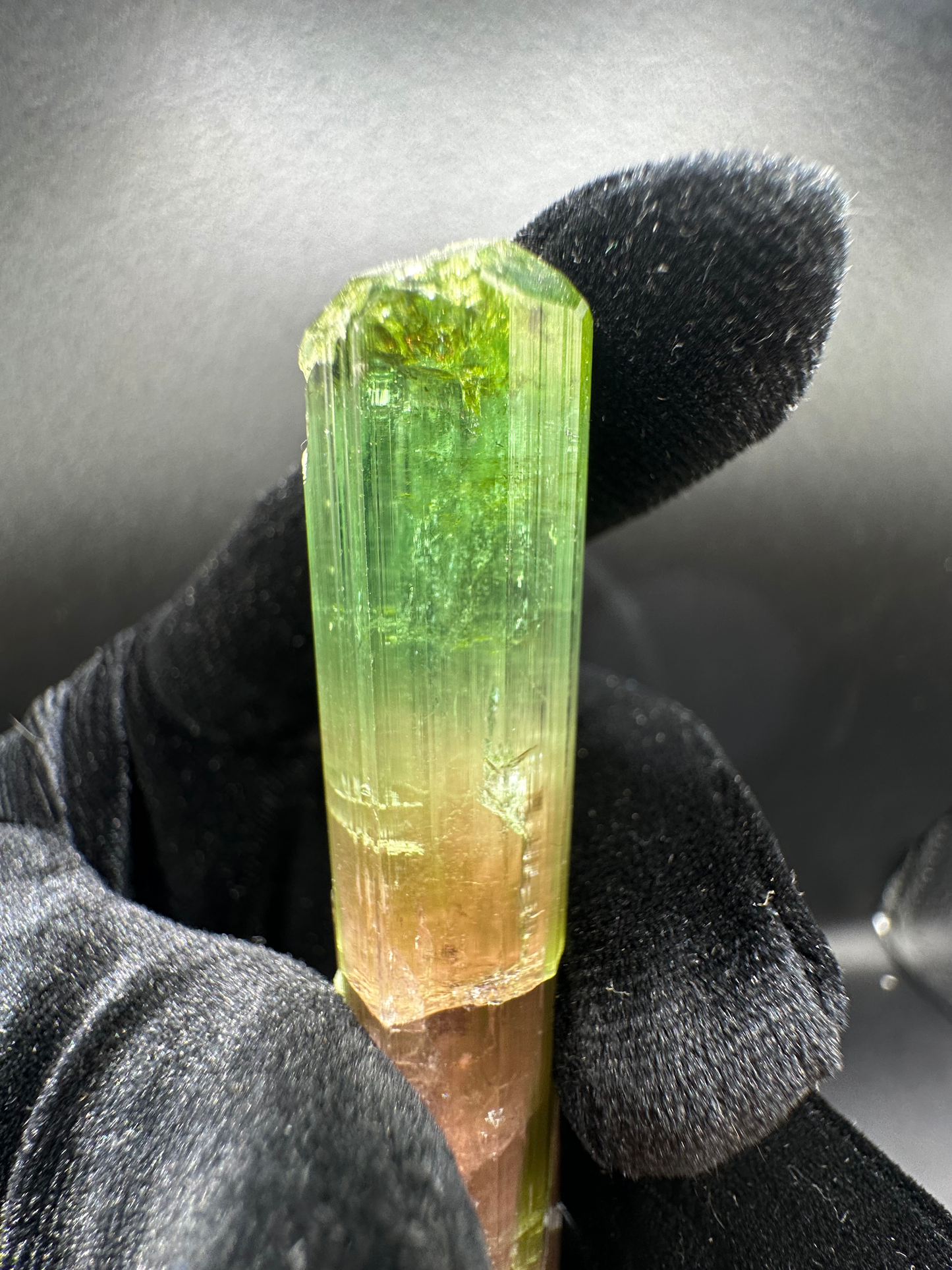 Natural bi-color tourmaline raw prismatic crystal with vivid forest green top and warm peach-pink base — gem-grade transparent collector specimen ethically sourced from Pakistan
