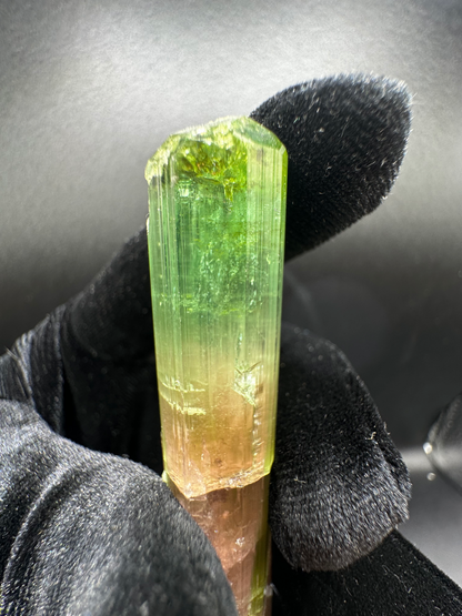 Natural bi-color tourmaline raw prismatic crystal with vivid forest green top and warm peach-pink base — gem-grade transparent collector specimen ethically sourced from Pakistan
