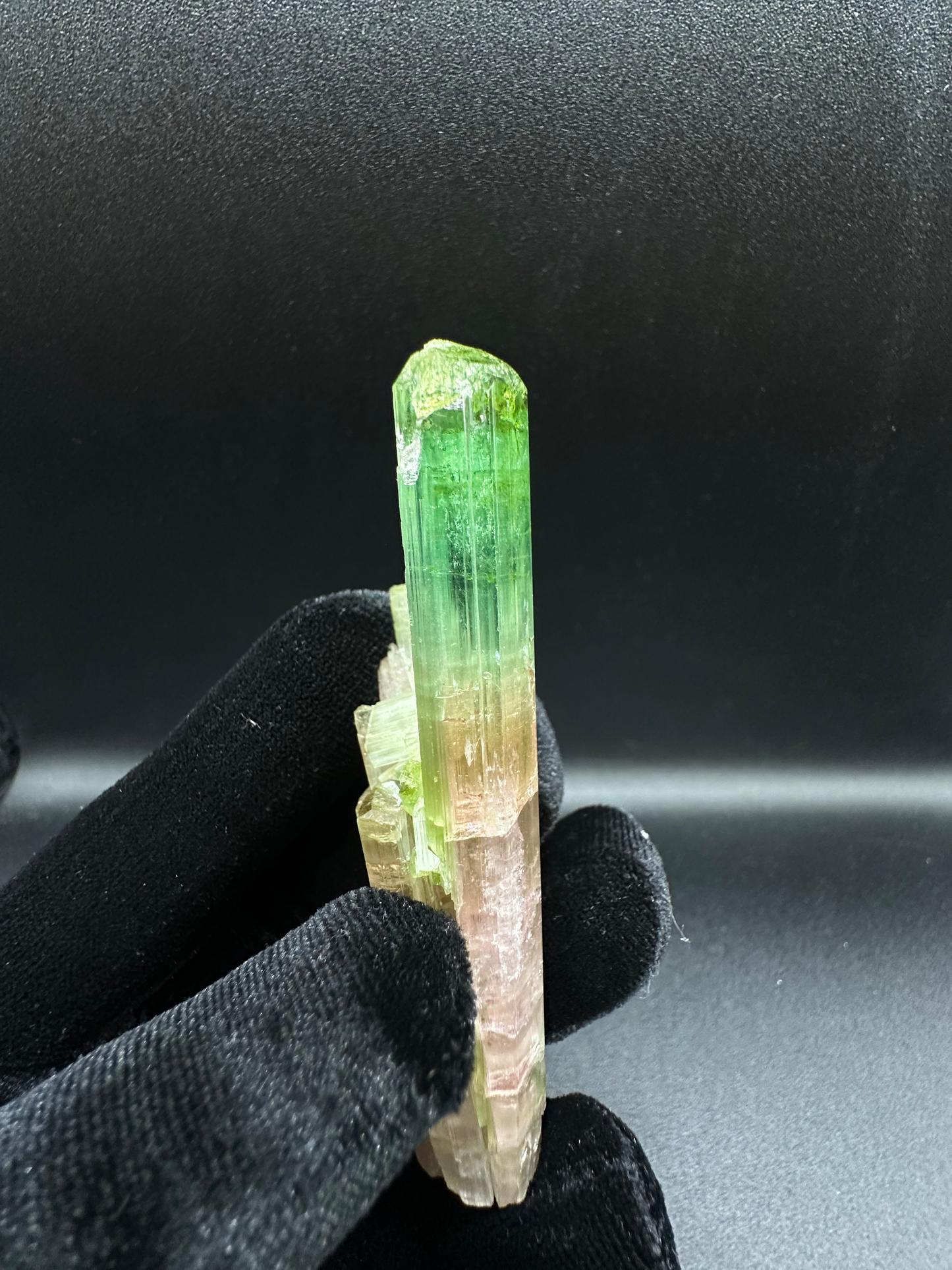 Natural Tri-Color Green & Peach Tourmaline Raw Crystal — Watermelon Tourmaline Prismatic Collector Specimen
