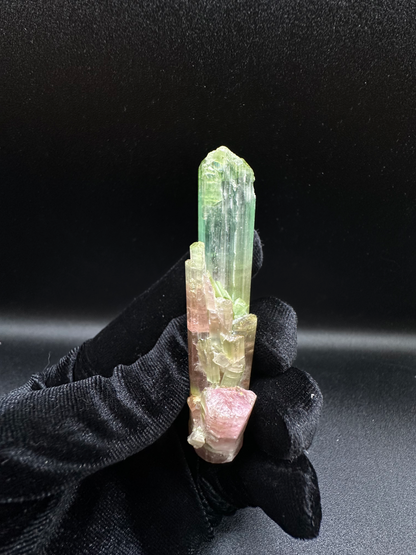 Natural Tri-Color Green & Peach Tourmaline Raw Crystal — Watermelon Tourmaline Prismatic Collector Specimen