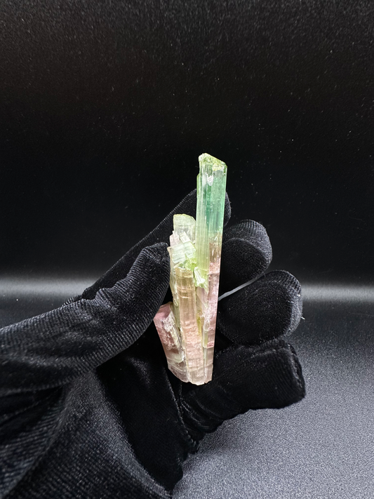 Natural Tri-Color Green & Peach Tourmaline Raw Crystal — Watermelon Tourmaline Prismatic Collector Specimen