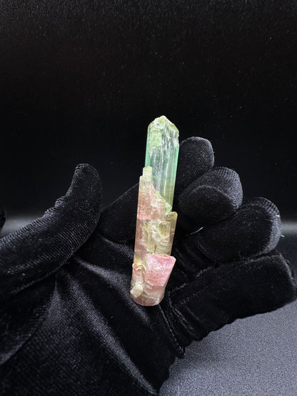 Natural Tri-Color Green & Peach Tourmaline Raw Crystal — Watermelon Tourmaline Prismatic Collector Specimen
