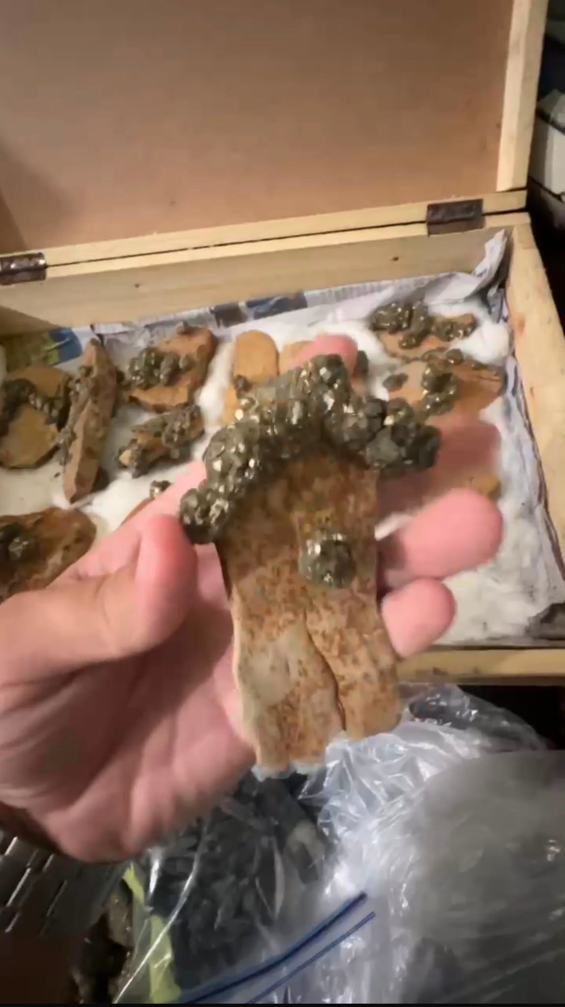 Morganite appatite pyrite bundle